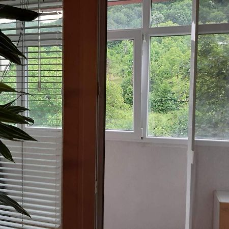 Apartment Milevi Teteven Dış mekan fotoğraf